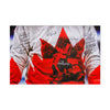 Impresión en lienzo de edición limitada (AP) del equipo de Canadá de 1972 firmada por 16 jugadores